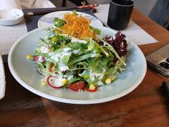 -森味薪火烧•烧鸟居酒屋•日本料理(望京店)