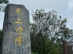 -岣嵝峰国家森林公园