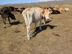 -小孙家厨(长春路店)