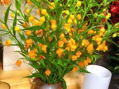 -双季花艺园艺市场(浦东店)