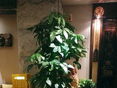 -樱蘭全息养生馆(三里屯店)