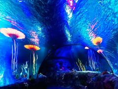 -沈阳海洋探索中心