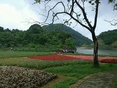 -广州市石门国家森林公园