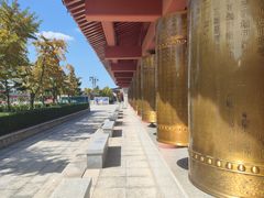 -龙口南山旅游景区