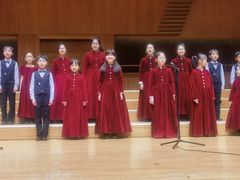 -中音阶梯艺术教育(音乐学院校区)