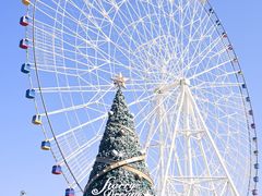 -南昌之星摩天轮