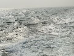 -青岛奥林匹克帆船中心