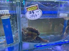 -晶渔坊·海鲜私房菜(东夷小镇店)