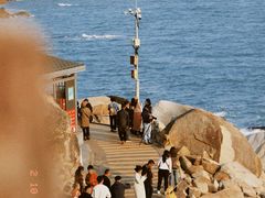 -广东惠东海龟国家级自然保护区