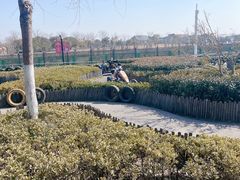 -季高兔窝窝亲子园(上海薰衣草公园店)