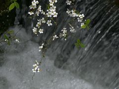-中国茶叶博物馆(双峰馆区)