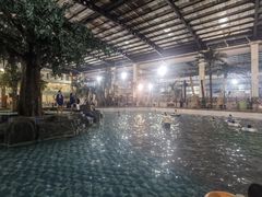 -南宫温泉水世界