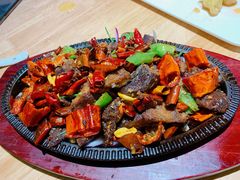-蒙料·手把肉(望京店)