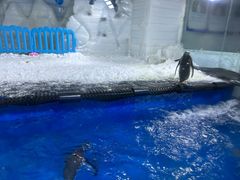-郑州银基冰雪世界