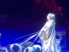 -珠海横琴长隆《卡卡虎奇遇记》