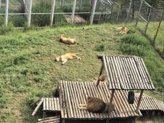 -青藏高原野生动物园