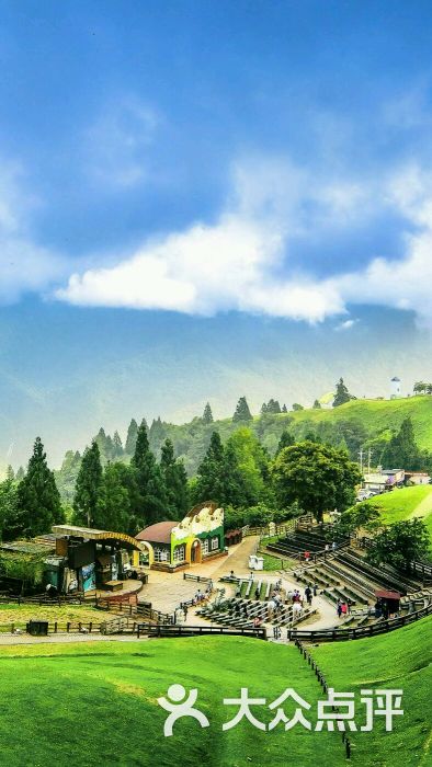 丰乐葵园图片 - 第1张