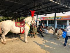 -渔岛海洋度假区