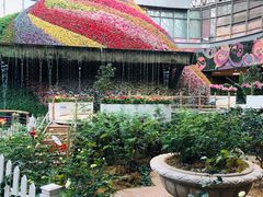 -花之城
