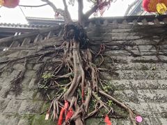 -重庆十八梯传统风貌区