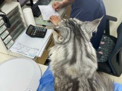 -美联众合动物医院·24h京西诊疗中心