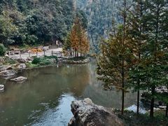 -刘伯温故里景区百丈漈