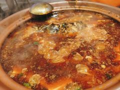 -杨氏青龙虾·羊蝎子(托乐嘉店)