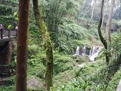 -青城山