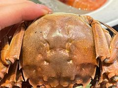 -菊上料理(蜀山银泰百货店)