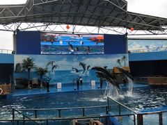 -石林冰雪海洋世界