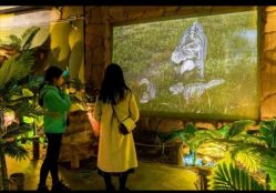 -恐龙探索乐园(磁器口店)