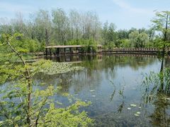 -溱湖国家湿地公园