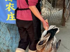 -亲子百果农庄