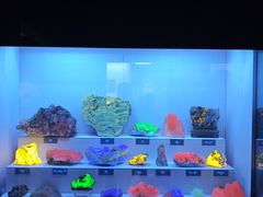 -湖南省地质博物馆