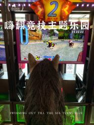 -嗨翻Hi-Fun竞技主题乐园·蹦床团建生日聚会(五棵松华熙店)