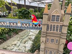 -南宫五洲植物乐园