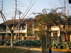 -乌村