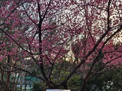 -西安市纺织公园