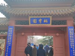 -桃花堤公园