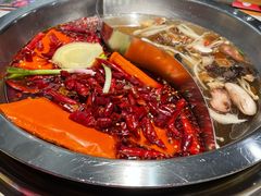 -清真·天府皇城坝百年牛肉火锅(皇城清真寺店)