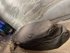 -白鹤梁水下博物馆
