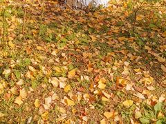 -苏州河梦清园环保主题公园