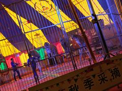 -采薇庄园四季滑雪场
