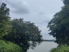 -海珠湖公园