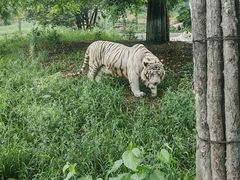 -大连森林动物园