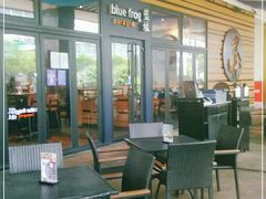 -bluefrog蓝蛙(皇庭广场店)