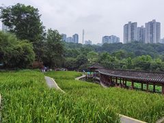 -龙头寺公园