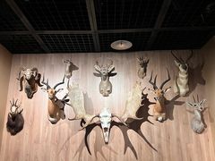 -陕西自然博物馆