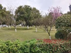 -重庆园博园