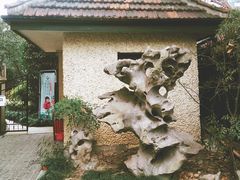 -上海蔡元培故居陈列馆